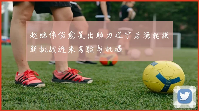 赵继伟伤愈复出助力辽宁后场轮换新挑战迎来考验与机遇